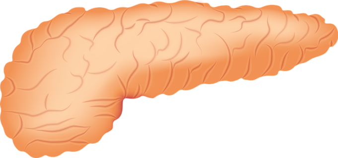 Pancreas Divisum